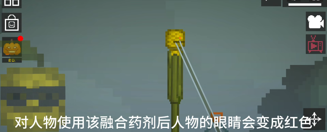 甜瓜游乐场国际服最新版