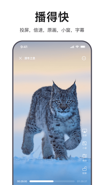 迅雷浏览器截图1