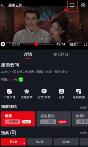 网飞猫